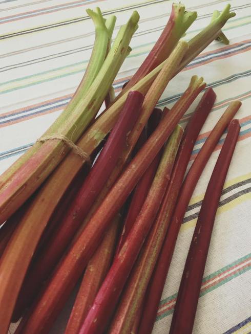 Rhubarb
